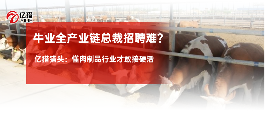 稿定设计-5.png